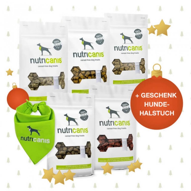 Großes Snackpaket + gratis Geschenk Hundehalstuch
