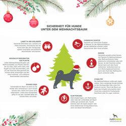 Sicherheit Hund Weihnachtsbaum