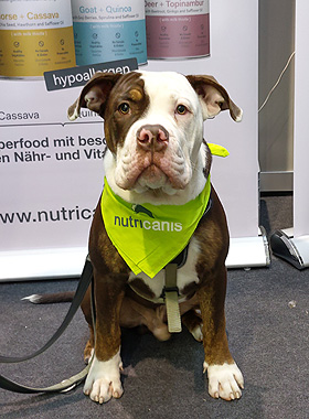 hundefutter tester Stuttgart